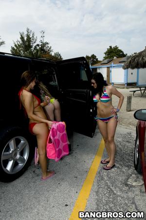 Original 531 px/ 800 px