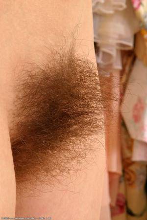 Original 682 px/ 1024 px