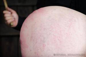 Original 1200 px/ 795 px