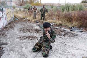 Original 2495 px/ 1663 px