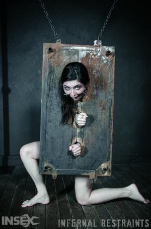 Original 795 px/ 1200 px