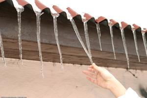 Original 1536 px/ 1024 px