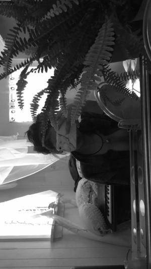 Original 720 px/ 1280 px