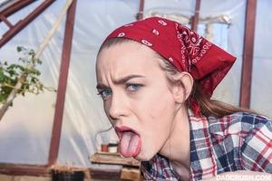 Original 1619 px/ 1080 px