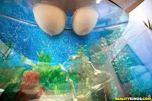 Original 900 px/ 600 px