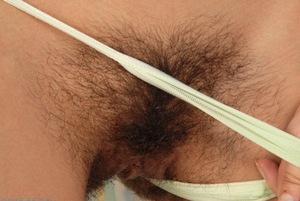 Original 1200 px/ 802 px