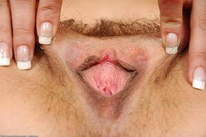 Original 1536 px/ 1021 px