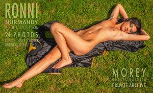 Original 3000 px/ 1823 px