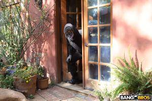 Original 2000 px/ 1333 px