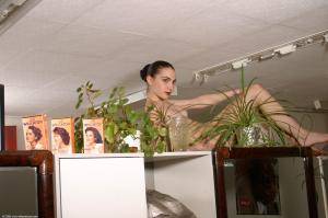 Original 1536 px/ 1020 px