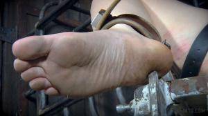 Original 1200 px/ 675 px