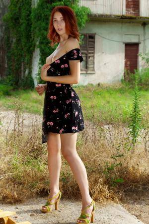 Original 5304 px/ 7952 px