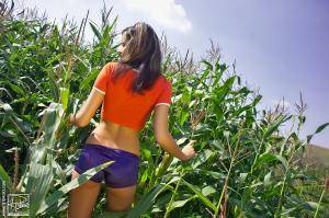 Original 1151 px/ 767 px