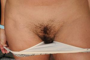 Original 1536 px/ 1020 px