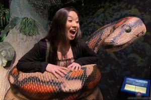 Original 3000 px/ 2000 px