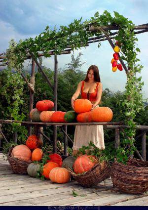 Original 2048 px/ 2904 px