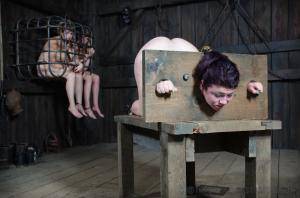 Original 1200 px/ 795 px