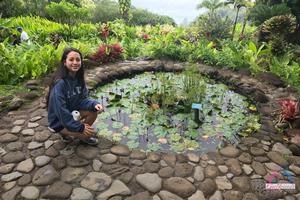 Original 3000 px/ 2000 px