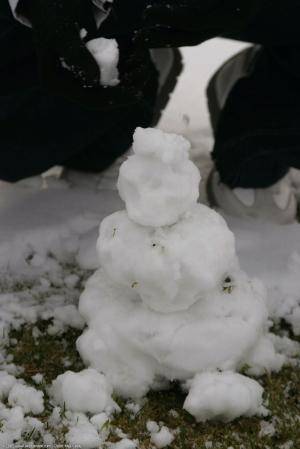 Original 854 px/ 1280 px