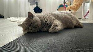 Original 2048 px/ 1152 px