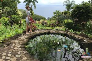 Original 3000 px/ 2000 px