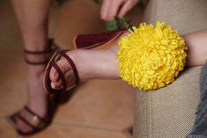 Original 5472 px/ 3648 px