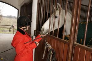 Original 1680 px/ 1120 px