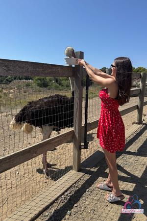 Original 3333 px/ 5000 px