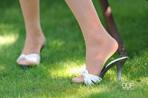 Original 2000 px/ 1331 px