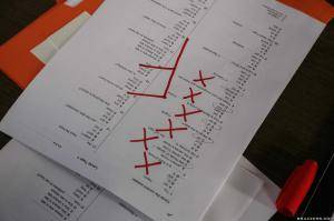 Original 2495 px/ 1663 px