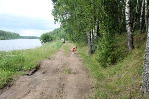 Original 2700 px/ 1800 px