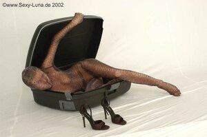 Original 800 px/ 531 px