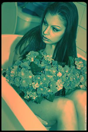 Original 1066 px/ 1600 px