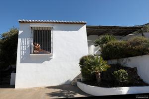 Original 4000 px/ 2668 px