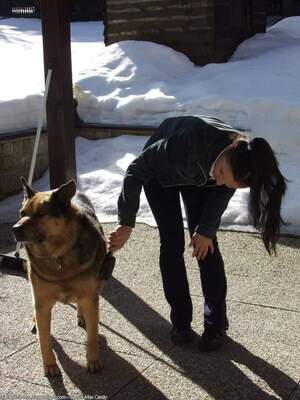 Original 1200 px/ 1600 px