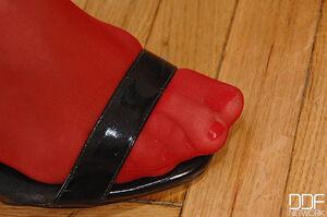 Original 2000 px/ 1329 px