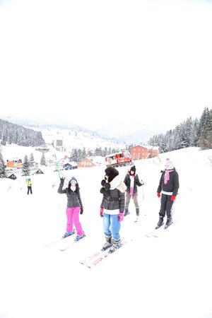 Original 1333 px/ 2000 px