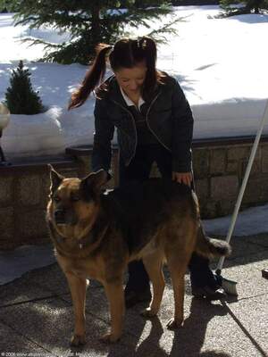 Original 1200 px/ 1600 px