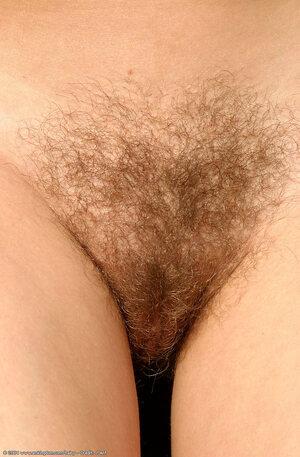 Original 672 px/ 1024 px