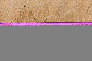 Original 2808 px/ 1872 px