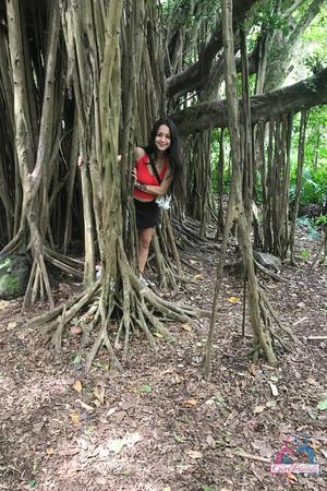 Original 2000 px/ 3000 px