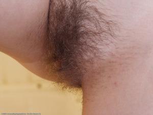 Original 1024 px/ 768 px