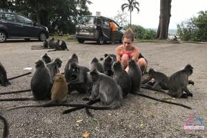 Original 3000 px/ 2000 px