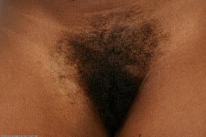 Original 1536 px/ 1024 px