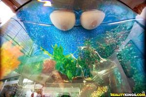 Original 900 px/ 600 px