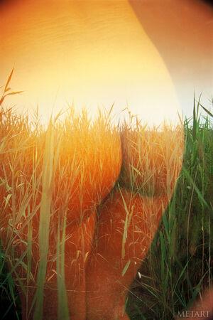 Original 1467 px/ 2200 px