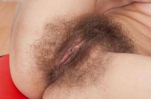 Original 2950 px/ 1950 px