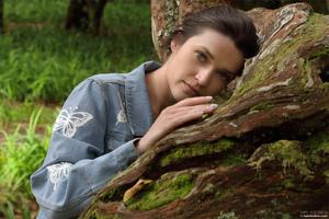 Original 4000 px/ 2667 px