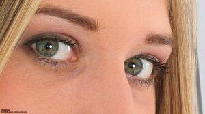 Original 1800 px/ 1000 px