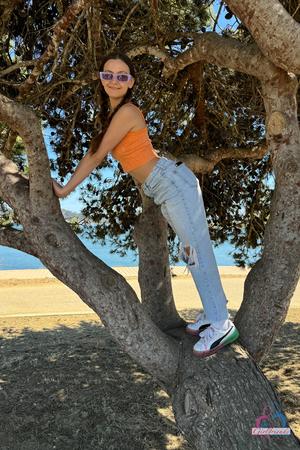 Original 2000 px/ 3000 px